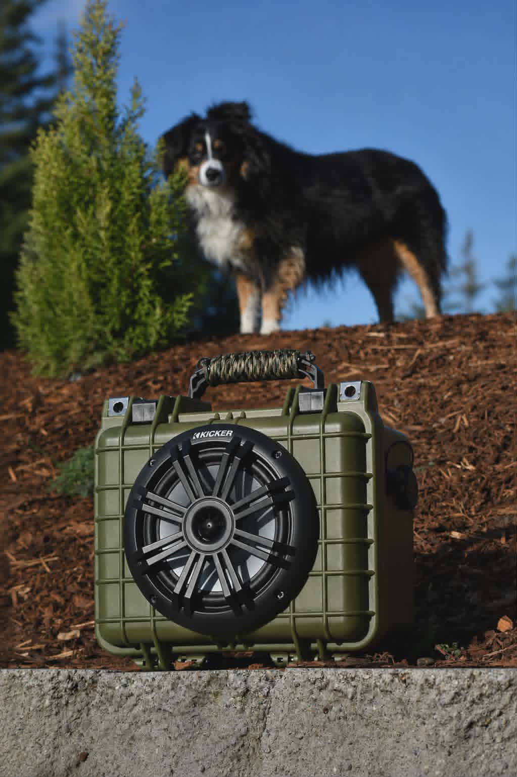 Nomad10